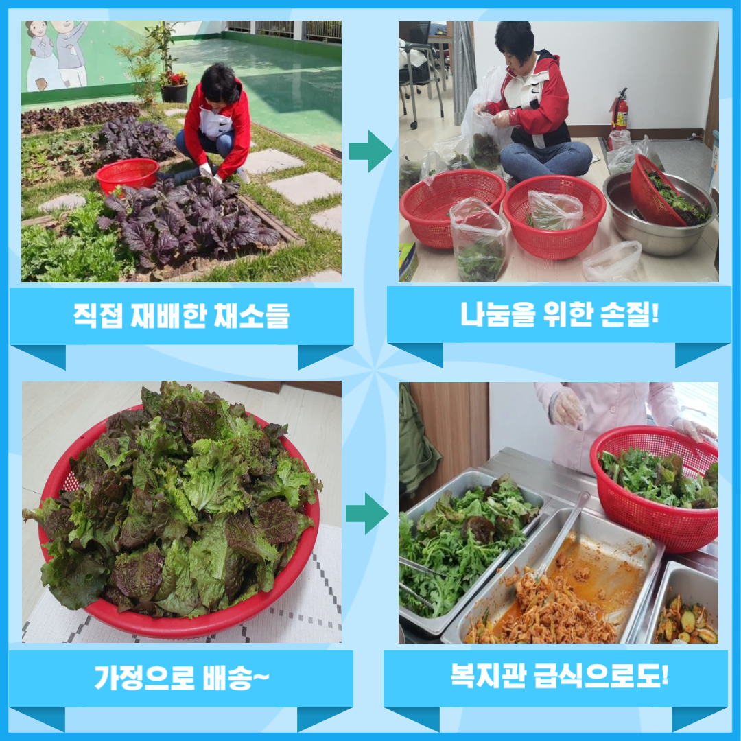 재배한 채소를 나눔하는 모습