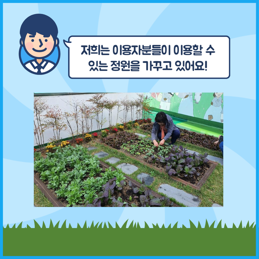 주간보호센터에서 관리하는 텃밭사진
