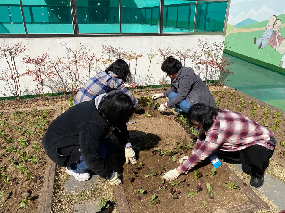 텃밭에 모종을 심는 모습