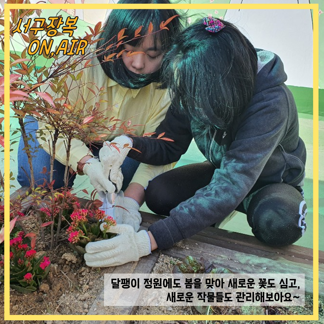 달팽이정원 초화식재를 하는 모습