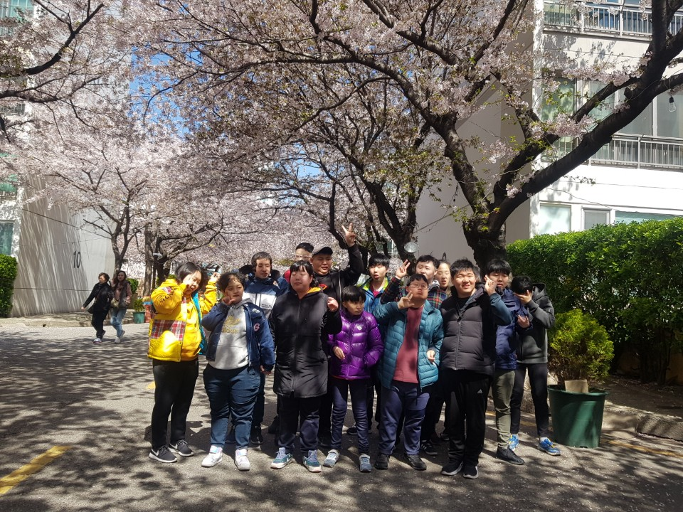주간보호센터 이용자들이 벚꽃이 핀 거리에 서서 찍은 사진