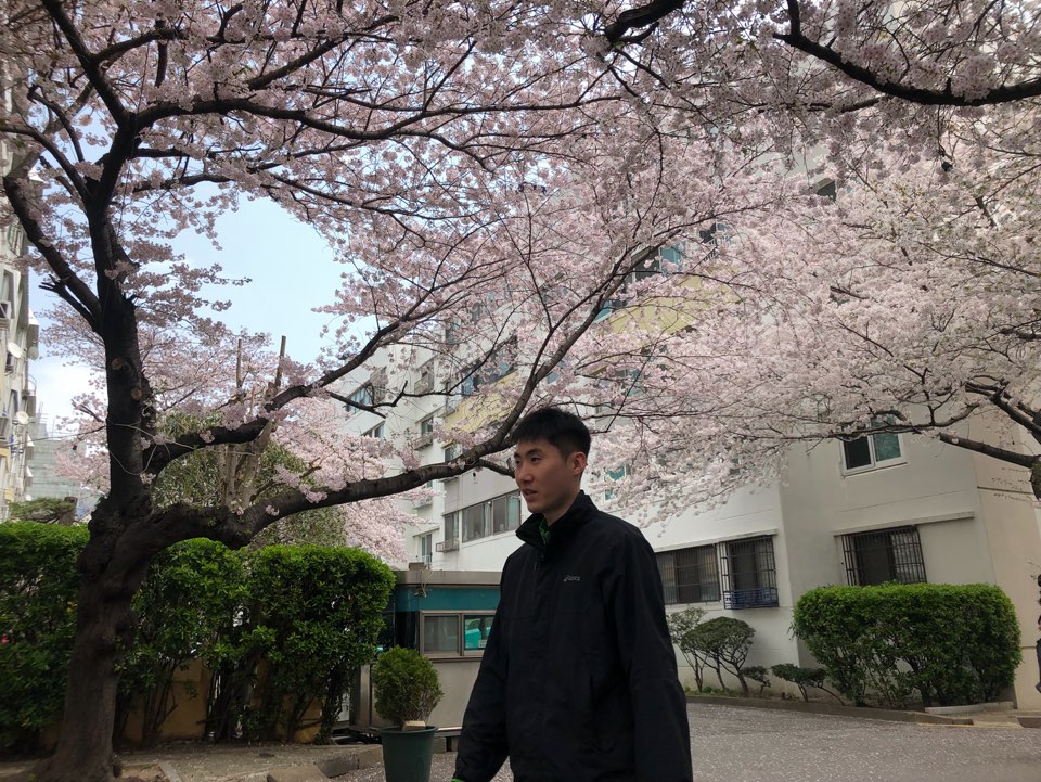 훈련생이 벚꽃이 핀 거리를 걷고있는 모습