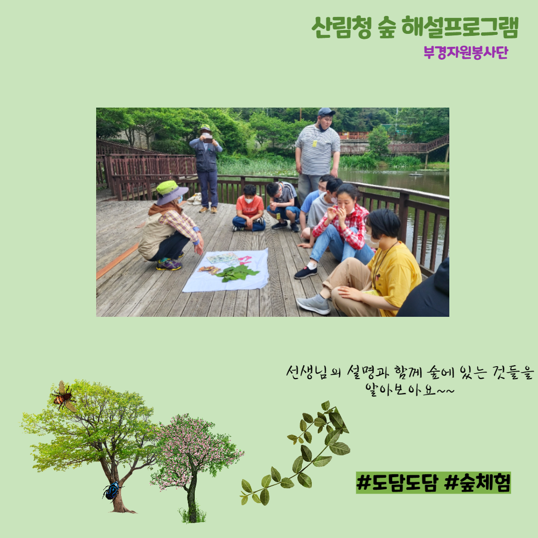 숲에 대하여 열심히 설명을 듣고 있는 주간보호 친구들 화이팅!!