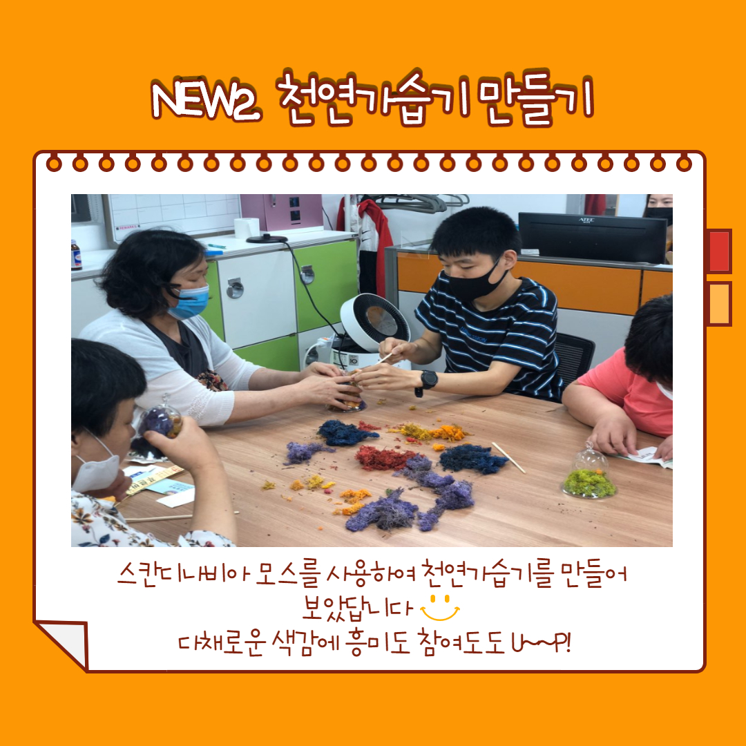 스칸디나비아 모스를 사용하여 천연가습기를 만들어 보았답니다. 다채로운 색감에 흥미도 참여도도 UP!