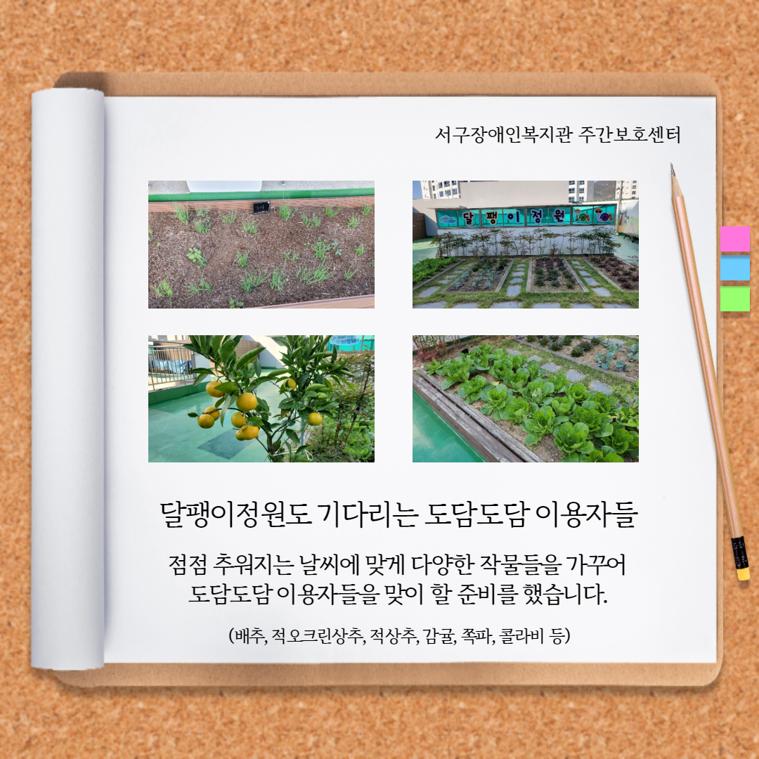 이용자들을 맞이하기 위해 계절에 알맞는 작물을 가꾸어 놓았습니다.