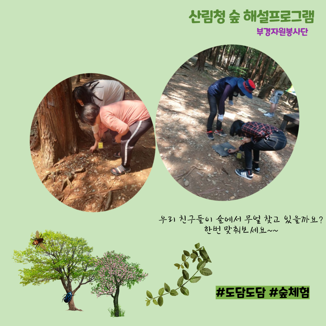 우리 친구들은 산에서 무엇 찾고 있을까요? 맞춰보세요~~