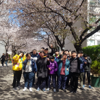 주간보호센터 이용자들이 벚꽃이 핀 거리에 서서 찍은 사진